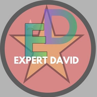 David - Freelance Data Scraping Specialist