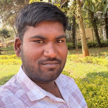 Tharun P. - Freelance Web Developer