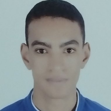 abdulrahman - Freelance Data Collector