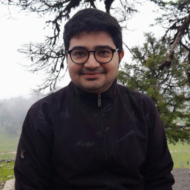 Vinay K. - Freelance Data Annotator