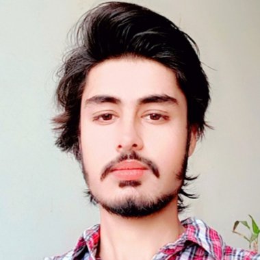Syed S. - Freelance Graphic Designer