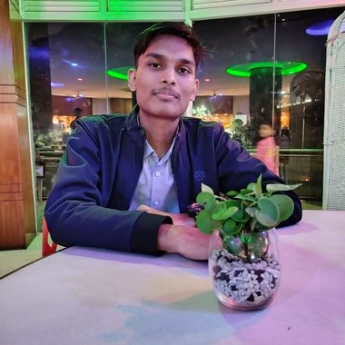 Sartaz N. - Freelance Writer