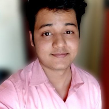 Harsh S. - Freelance Web Developer