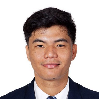 Frank M. - Freelance Developer