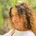 Yolanda M. Martínez Luengo