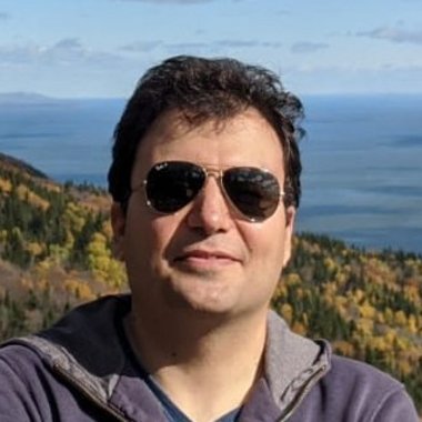 Ali H. - Freelance Developer