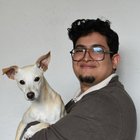 Víctor Rafael Domínguez Vargas