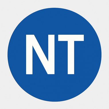 Nathan T. - Freelance Game Developer