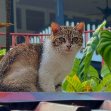 Nabz - Freelance Content Producer