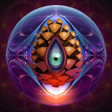 MushroomDreams - Freelance Graphic Designer