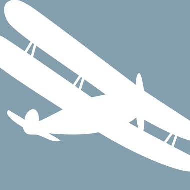 Shane E. - Freelance Art Director