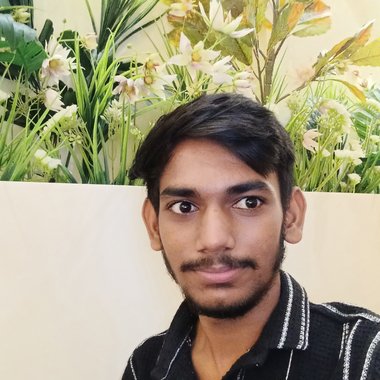 Harshil P. - Freelance Graphic Designer