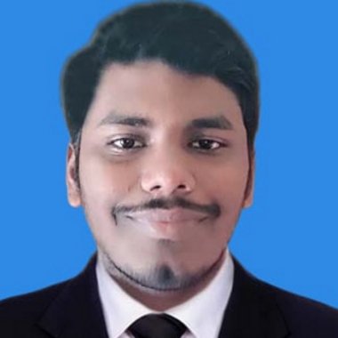 Kaushik R. - Freelance Violinist