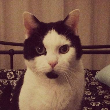 Vicky - Freelance Photographer