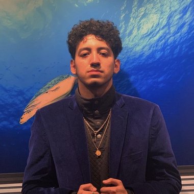 Robert N. - Freelance Video Editor