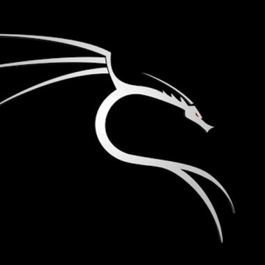 Afsha A. - Freelance Web Developer