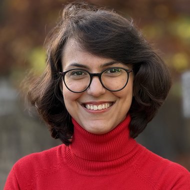 Taraneh F. - Freelance Chamber Orchestra