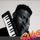 Moselbee on the Beat