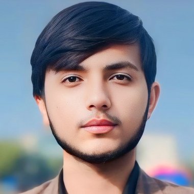 Daniyal F. - Freelance Developer