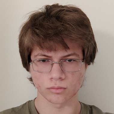 Albert B. - Freelance Programmer