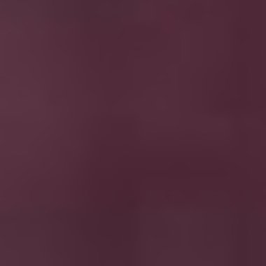 Dina L. - Freelance Ai Prompt Engineer