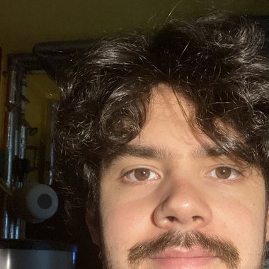 Lukas O. - Freelance Bassist
