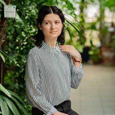 Tofan I. - Freelance Co Writer