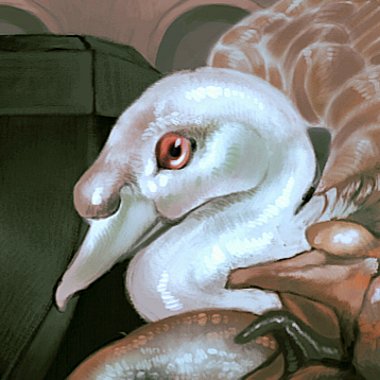 Brigitta B. - Freelance Script Supervisor