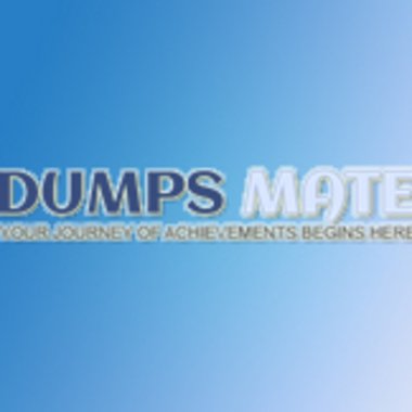 DumpsMate - Freelance Digital Marketer