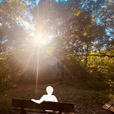 Maddie S. - Freelance Writer