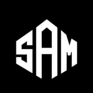 Ecomsam - Freelance Seo Expert