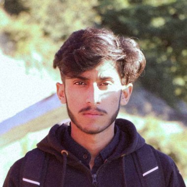 Malik T. - Freelance Web Developer