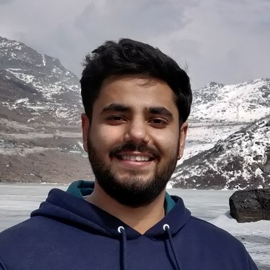 Piyush V. - Freelance Web Developer