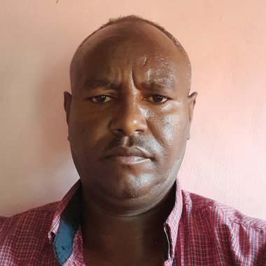 Tokyo c. - Freelance Writer