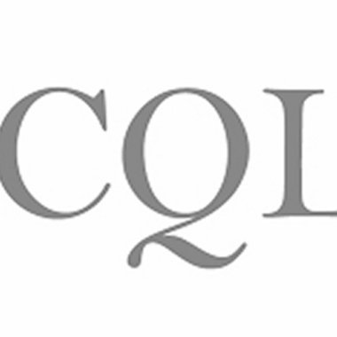 CQLsys D. - Freelance Ai Developer