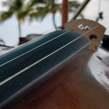 James S. - Freelance Pianist