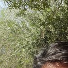 M. Ammad Atiq Siddiqui