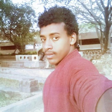 Ahmed Y. - Freelance Programmer