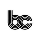 Bednarek Consulting Ltd