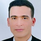 Mohamed Mahmoud Elarousi