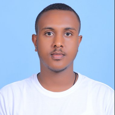 Bereketab F. - Freelance Freelance Digital Illustrator