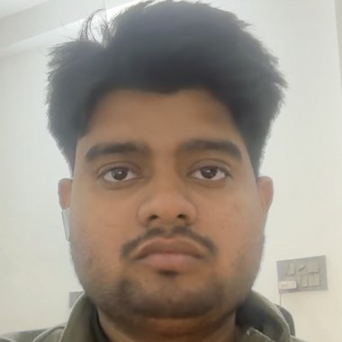 Nikhil S. - Freelance Developer