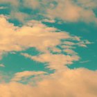 Family Values Slaughterhouse