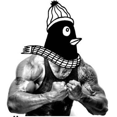 Stéphane M. - Freelance Content Creator