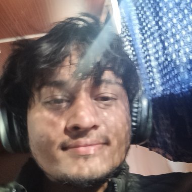 Ansh R. - Freelance Script Supervisor