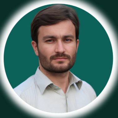 Zeeshan A. - Freelance Seo Expert