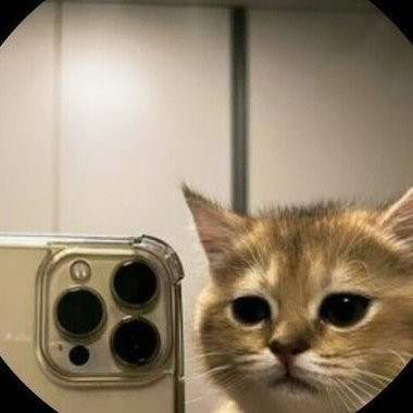 Yumpa - Freelance Writer
