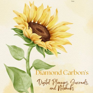 SHAWN S. - Freelance Logo Designer