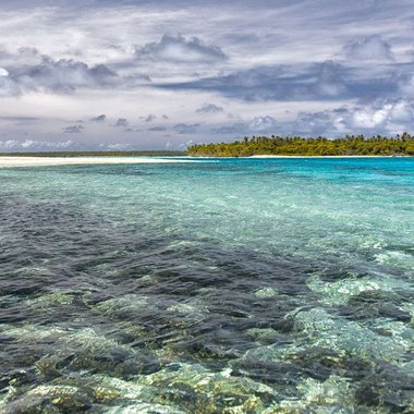 Sam S. - Freelance Copywriter