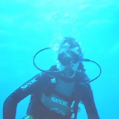 Max B. - Freelance Web Developer